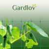 Síť - podpora rostlin 2x20m Gardlov 23980