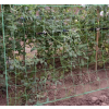 Síť - podpora rostlin 2x20m Gardlov 23980
