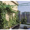 Síť - podpora rostlin 2x20m Gardlov 23980