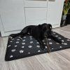Pelíšek pro psy 100x70cm Purlov 24862