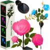 Solární lampa růže Gardlov 25282