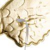 Trojdílný kostým jednorožce 122-128 cm Kruzzel 26675
