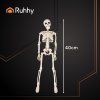 Kostra - dekorace 40cm Ruhhy 26027