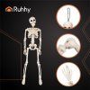 Kostra - dekorace 40cm Ruhhy 26027