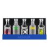 Absolut sada 5x0,05l