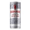 beefeater tonic