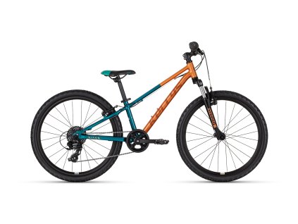 KITER50 AUTUMNFOREST