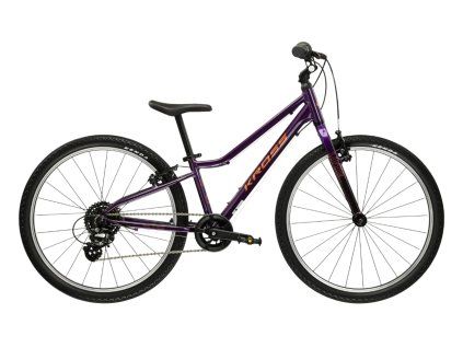 LIFTIE 24 PURPLE