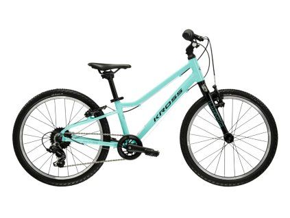 LIFTIE 20 MINT