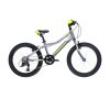 Bicykel Kross Hexagon Mini 1.0 silver 2023