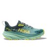 Obuv Hoka W Challenger ATR 7 GTX Trellis / Balsam Green (Varianta uk 4)