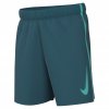 Kraťasy Nike DX5361 JR Dri-Fit Icon modré