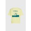 Tričko O'Neill Boxy Back Print T-Shirt Rainforest Dew
