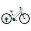 LIFTIE 20 MINT