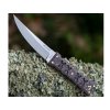 Williams Blade Design Shobu Zukuri Kaiken Custom 4.5" SZK C05