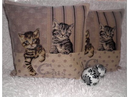 6179 moderny dek vankus cats