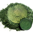 Bonsai Green — prášek
