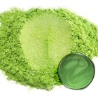Green Tea — prášek