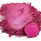 Shibazakura Pink — prášek