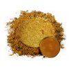 Ora Gold — slídový pigment Eye Candy Pigments