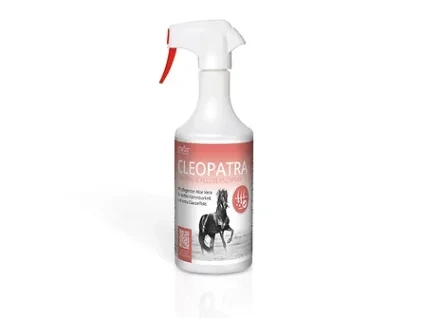 STROEH A Cleopatra NEU 280825 1