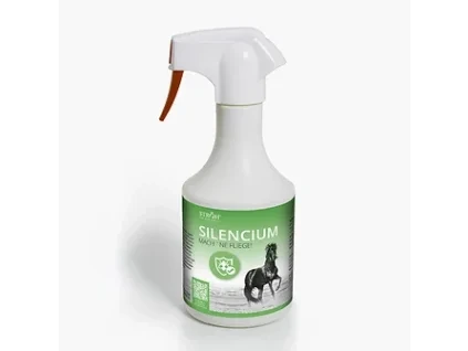 STROEH A SilenciumNEU 110625 1