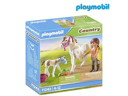 playmobil 71243a