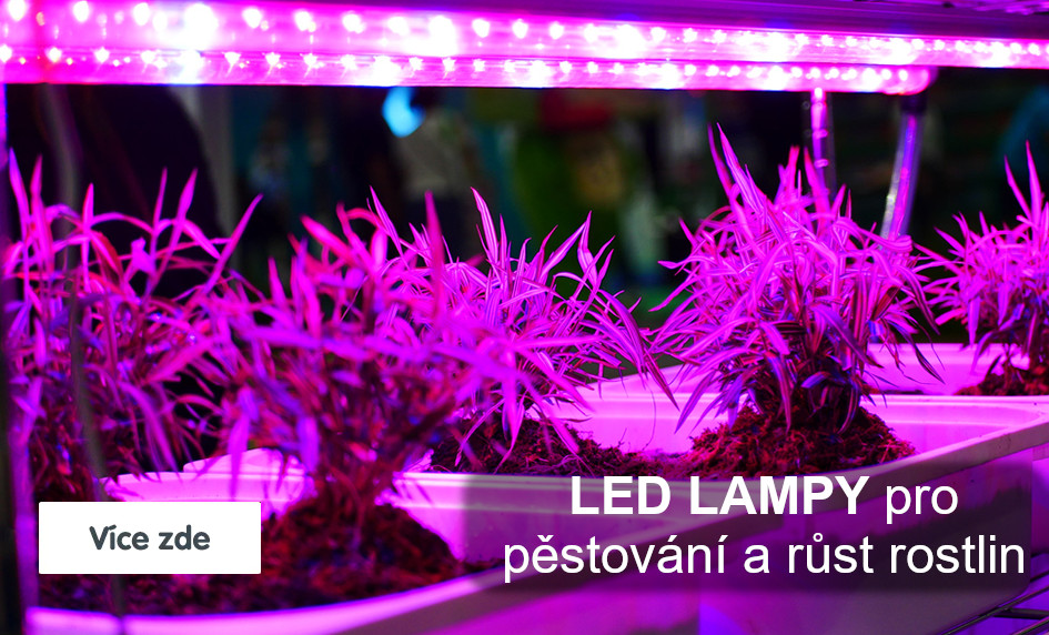 LED lampy pro pěstování a růst rostlin