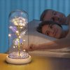 STABILIZOVANA RUZE VE SKLE SVITICI LED NAPAD NA darek KRASNY JAKO DEN BABICEK Znacka MTA