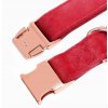 Nastavitelný sametový obojek pro psa 35-55cm L/XL