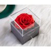 Růže v krabičce 2
