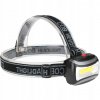 2403 celovka led cob
