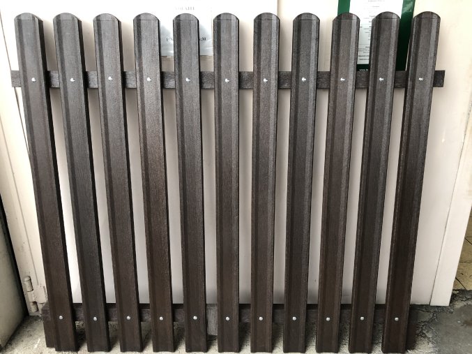 01 ac. Zaunplanke, Profil D-100x25-700 mm