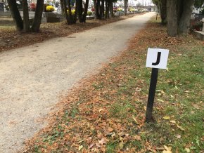 21 h.  P60 palisade marking pole