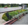 03 be. Grote rechthoekige bloempot