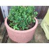 03 d. Ronde, massieve bloempot