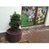 03 d. Ronde, massieve bloempot