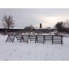13 a. Klassieke kleine sneeuwvanger