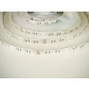 LED pásek RGBW 24V 19,2W studená bílá vnitřní  IP20 Počet diod 60Skladem na Toplux.cz, k odeslání