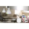Všebarevná LED žárovka Mi-Light FUT104 RGB+CCT 4W patice MR16 12V DC nastavitelná barva světla, efekty střídání a prolínání barev ALLMIX MiBoxer bodovka