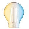 Smart chytrá  žárovka s LED filament čipy CCT - změna teploty barvy + stmívání na WIFI do aplikace TUYA, PHILIPS HUE, LIDL. Čirá ovladatelná retro žárovka.