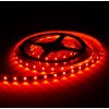 LED pásek vnitřní SQ3-300 Červená 07101 12V 4,8W/m IP 20 Počet diod 60