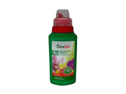 floralineorchid
