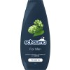 schauma for men shampoo 400ml