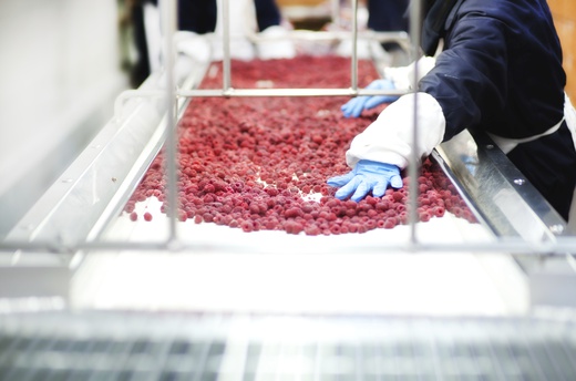 Výroba mražených potravin