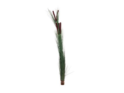 Europalms rákos s orobincem, tmavě zelený, umělý, 152 cm