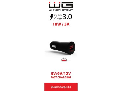 WG Nabíječka bez kabelu, 1x USB-A rychlonabíjení, 3 A