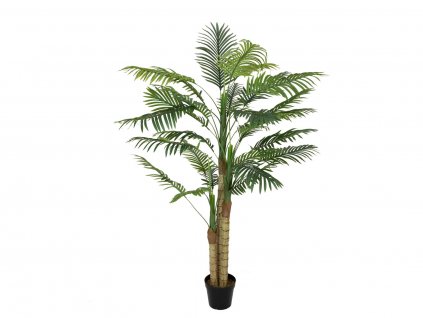 Palma Areca, 3 kmeny, 150 cm