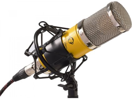 MONK302%2F001 mb mangabey banana emotion backround black 1 1920