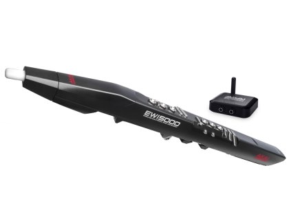 CAKA202%2FEWI5000 angle 1200x750